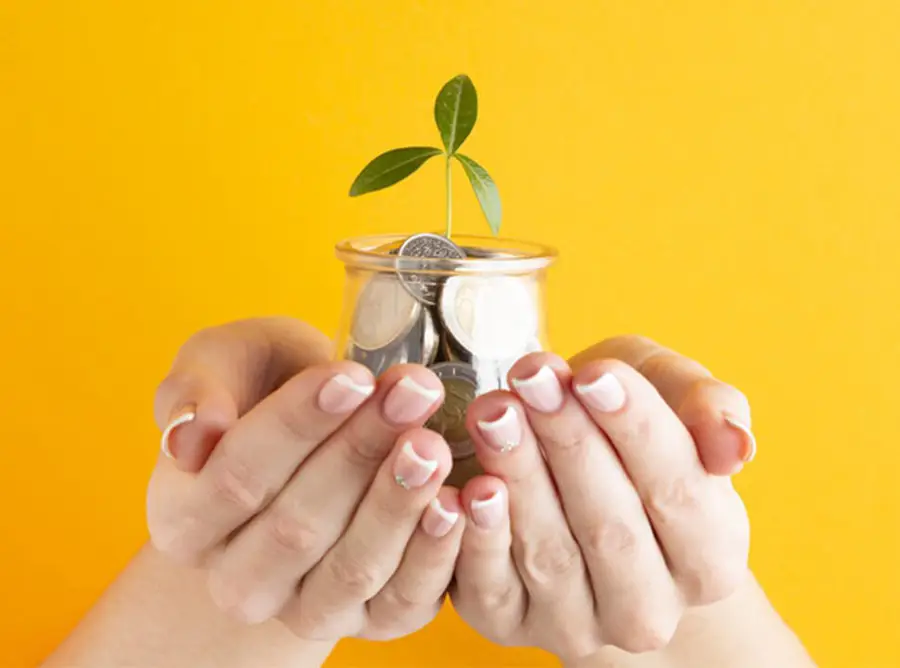 Baru Belajar Investasi? Ketahui 5 Contoh Kelas Aset dan Cara Mengelolanya