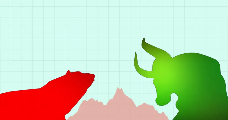 Bull dan Bear Market
