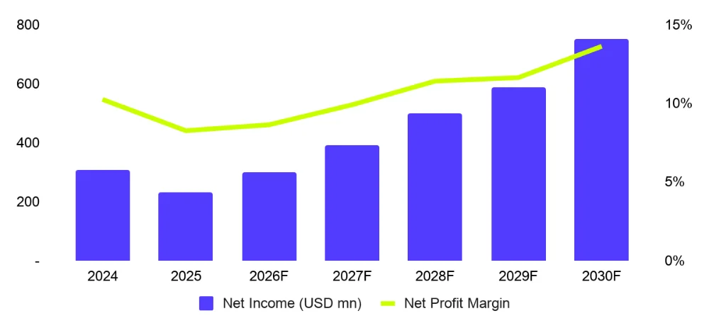 DSSA net income and net profit margin