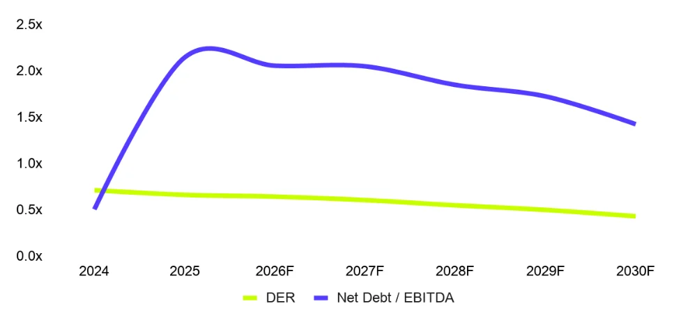 DER dan net debt to EBITDA DSSA
