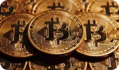 Trading information on Pluang platform