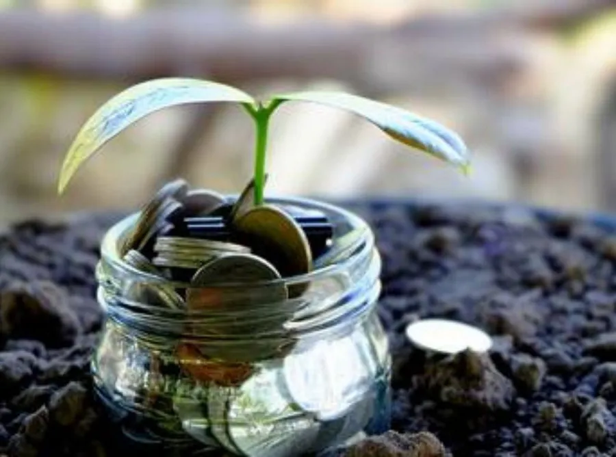 Mau Coba Investasi Reksadana? Berikut Panduan Mudahnya untuk Pemula