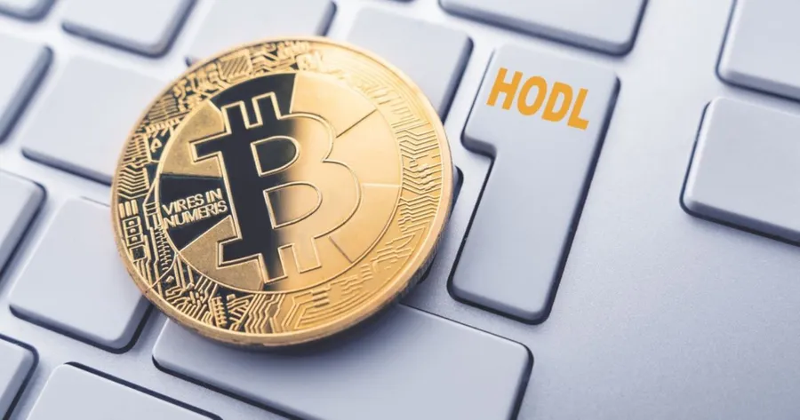 Meski Digempur Altcoins, Ini Satu Alasan Kenapa Kamu Masih Perlu HODL Bitcoin!