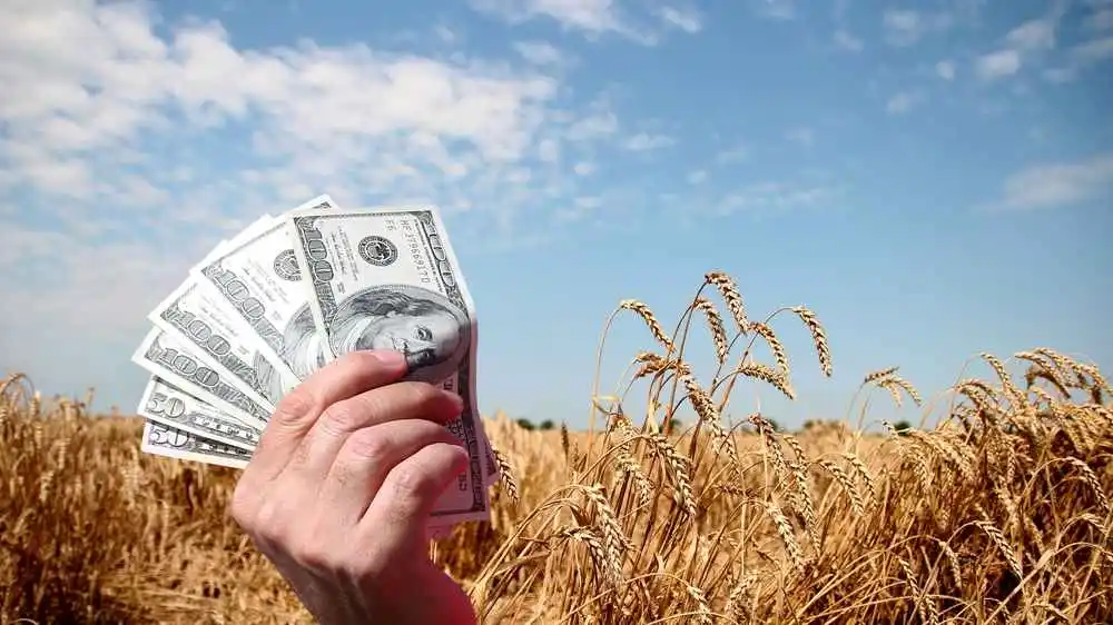 Musim Earnings Telah Tiba, Apa Saja yang Musti Diperhatikan?