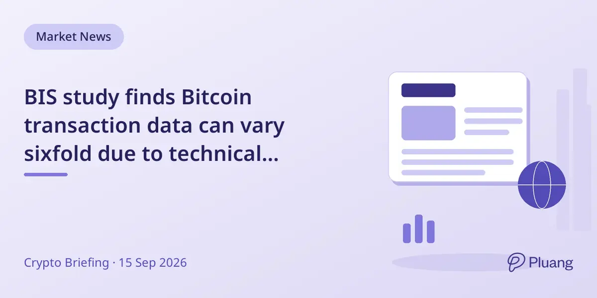 BIS study finds Bitcoin transaction data can vary sixfold due to technical measurement issues.