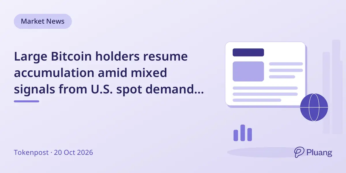 Large Bitcoin holders resume accumulation amid mixed signals from U.S. spot demand and exchange inflows.